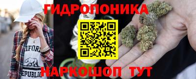 спиды Канаш