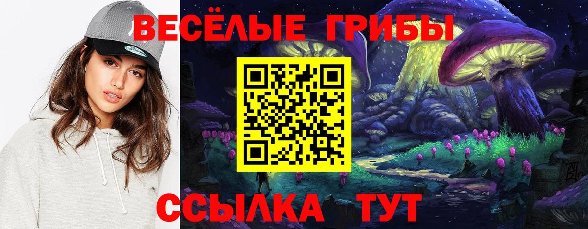 Галлюциногенные грибы Cubensis Куйбышев