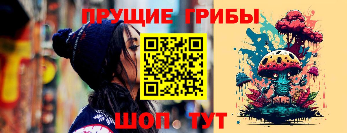 Куйбышев  Галлюциногенные грибы Cubensis  Галлюциногенные грибы Psilocybine cubensis  Вход с VPN 